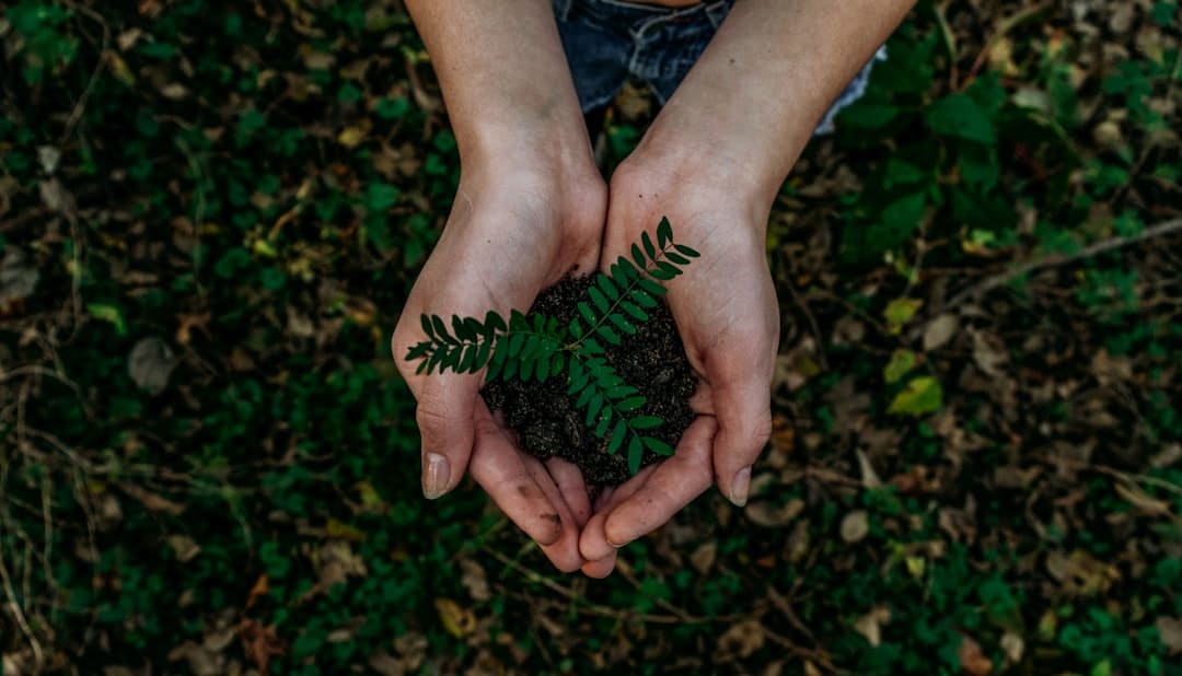 découvrez des pratiques durables pour un mode de vie éco-responsable. apprenez comment réduire votre empreinte carbone, optimiser vos ressources et contribuer à la préservation de notre planète grâce à des actions concrètes et accessibles au quotidien.