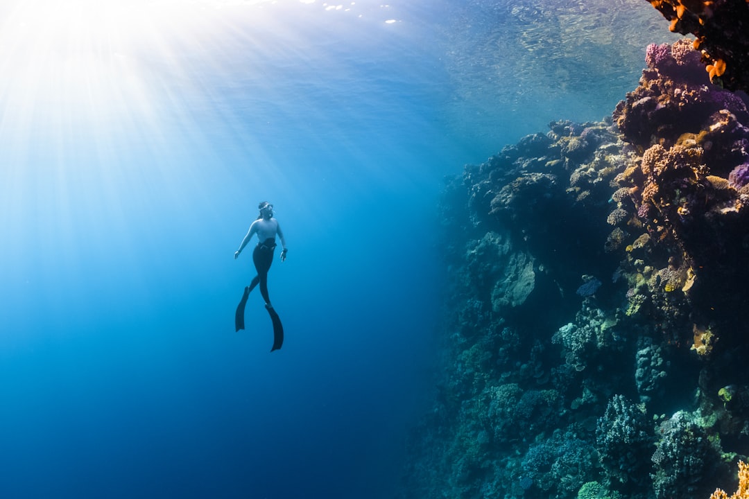 découvrez l'importance de la biodiversité pour notre planète, ses enjeux écologiques et les actions à entreprendre pour la préserver. explorez les richesses naturelles qui soutiennent notre écosystème et apprenez comment chacun peut contribuer à la sauvegarde de la biodiversité.