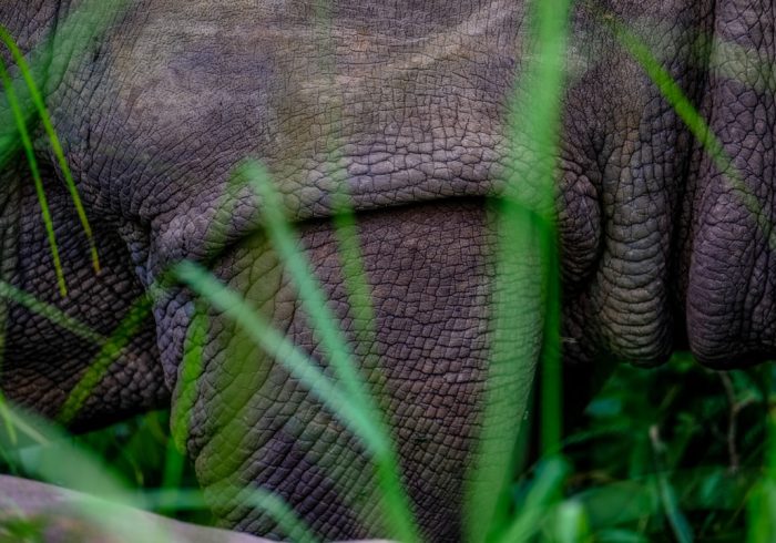 découvrez 'sanctuary', un lieu unique de paix et de sérénité, où la nature et le bien-être s'unissent pour vous offrir une expérience inoubliable. plongez dans un environnement apaisant grâce à nos rituels de relaxation et nos activités revitalisantes, le tout dans un cadre enchanteur.