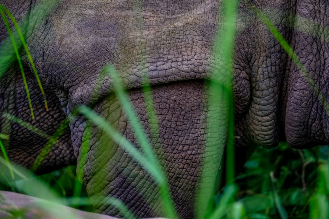 découvrez 'sanctuary', un lieu unique de paix et de sérénité, où la nature et le bien-être s'unissent pour vous offrir une expérience inoubliable. plongez dans un environnement apaisant grâce à nos rituels de relaxation et nos activités revitalisantes, le tout dans un cadre enchanteur.