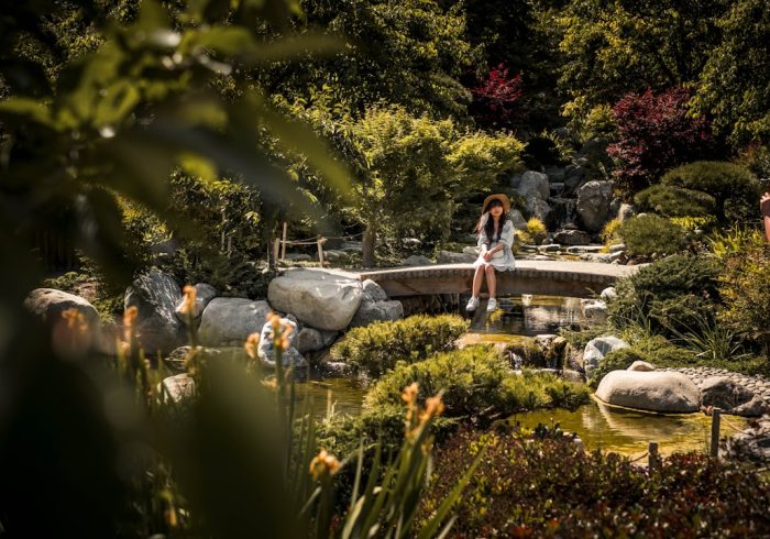 découvrez un havre de paix avec notre jardin tranquille, un espace conçu pour la relaxation et la sérénité. profitez d'une ambiance apaisante, entourée de verdure et de fleurs, idéale pour échapper au stress quotidien.