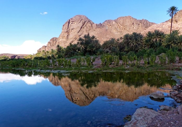 découvrez l'oasis, un havre de paix au cœur du désert, où la nature fleurit et la tranquillité règne. un refuge idéal pour vous ressourcer et explorer des paysages enchanteurs.