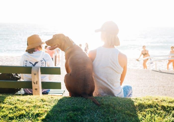 découvrez un univers inspirant autour du lifestyle : conseils pratiques, tendances actuelles, bien-être, et astuces pour vivre une vie épanouie et équilibrée au quotidien.