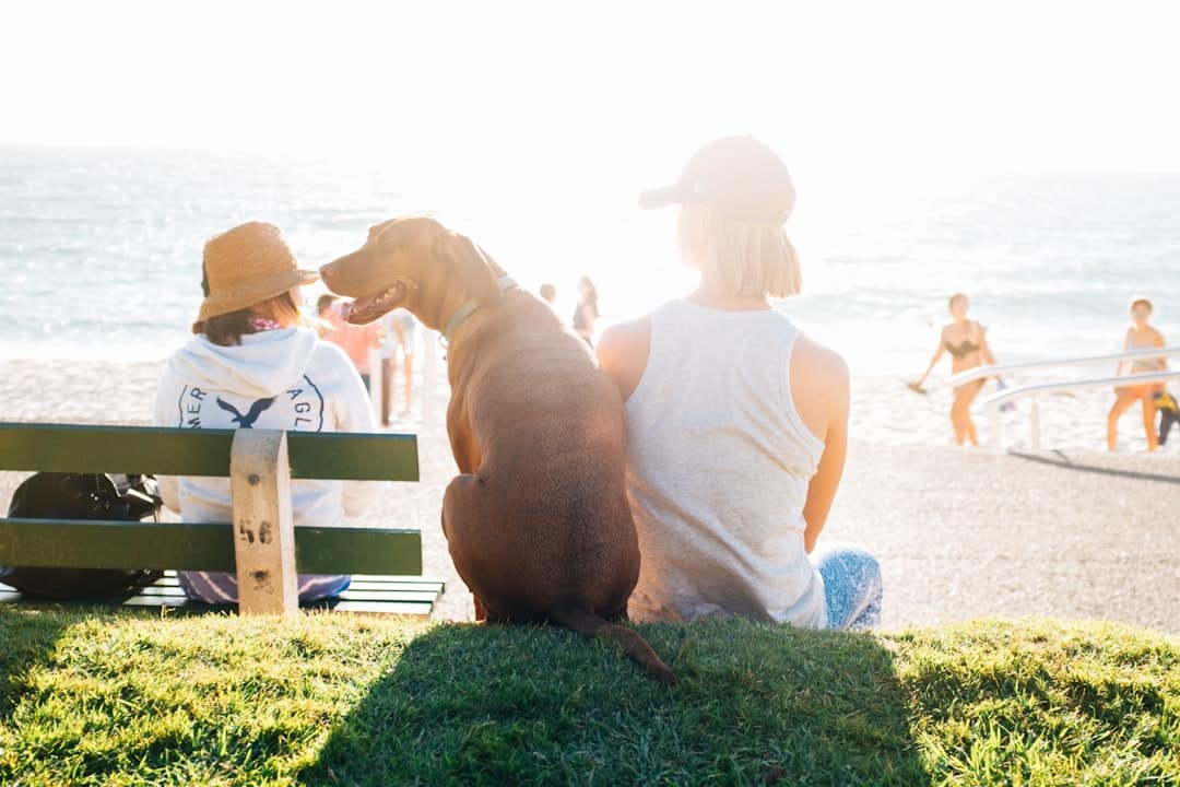 découvrez un univers inspirant autour du lifestyle : conseils pratiques, tendances actuelles, bien-être, et astuces pour vivre une vie épanouie et équilibrée au quotidien.