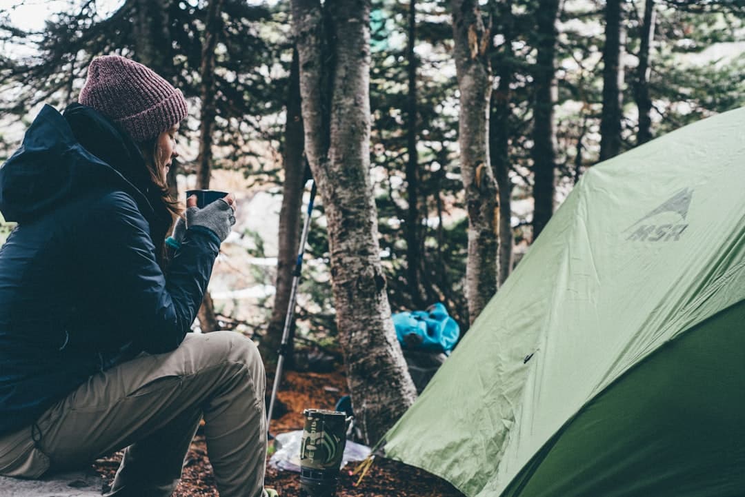 découvrez des expériences palpitantes et inoubliables avec nos aventures passionnantes. que vous soyez à la recherche de sensations fortes en pleine nature ou d'explorations fascinantes à travers le monde, préparez-vous à vivre des moments riches en émotions.