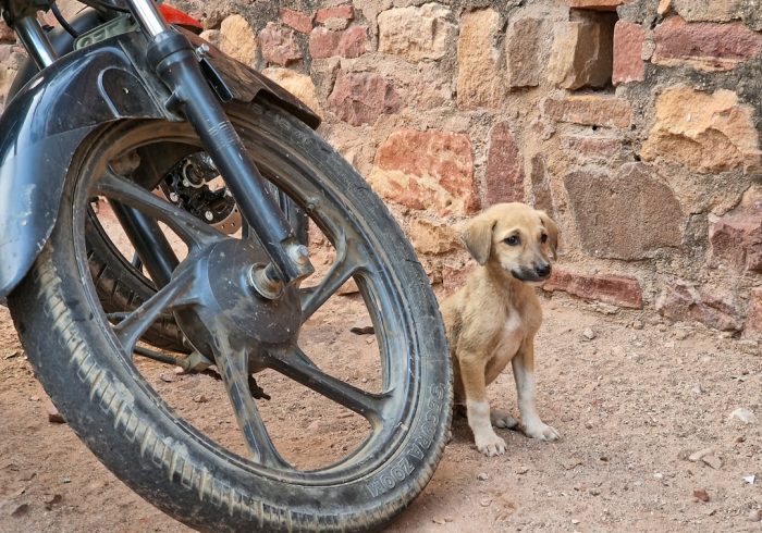 découvrez l'univers des rétromopeds : ces scooters vintage au charme intemporel. plongez dans la nostalgie avec nos modèles emblématiques, les meilleures pratiques d'entretien et des conseils pour redécouvrir le plaisir de rouler sur ces véhicules légendaires.