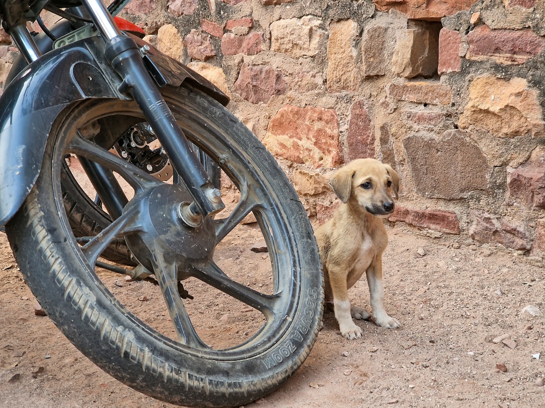 découvrez l'univers des rétromopeds : ces scooters vintage au charme intemporel. plongez dans la nostalgie avec nos modèles emblématiques, les meilleures pratiques d'entretien et des conseils pour redécouvrir le plaisir de rouler sur ces véhicules légendaires.